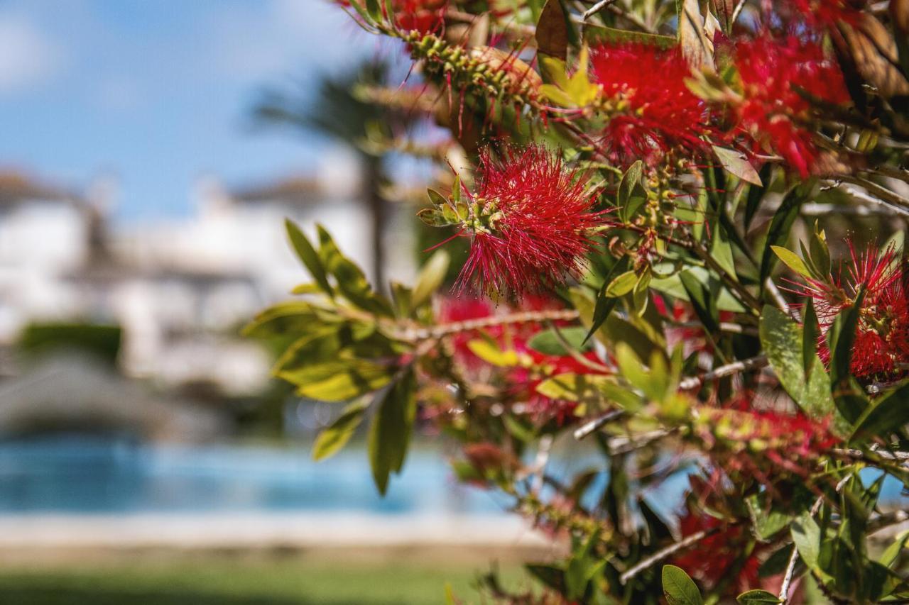 Apartament Avalon Jávea Zewnętrze zdjęcie